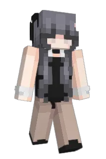 zernid Minecraft avatar full body