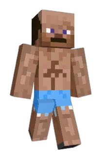 zerofill Minecraft avatar full body