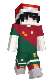 zezin14 Minecraft avatar full body