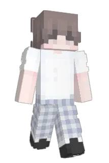 zh0529 Minecraft avatar full body