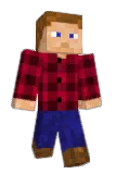 zholl Minecraft avatar full body