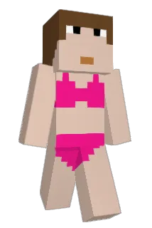 zhvc Minecraft avatar full body