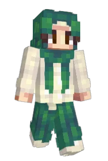 zindagi Minecraft avatar full body