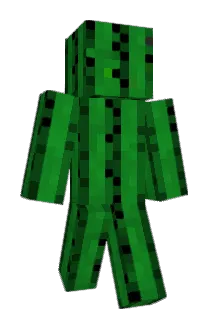 zipvnt Minecraft avatar full body