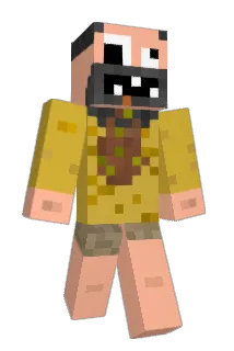 ziulkastary Minecraft avatar full body