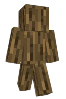 zizon_hs Minecraft avatar full body