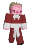 zlts Minecraft avatar full body