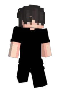 zonqq Minecraft avatar full body