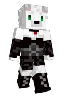 zoolon88 Minecraft avatar full body