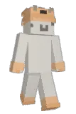 zorgier Minecraft avatar full body