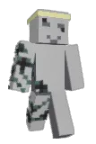 zouarp Minecraft avatar full body