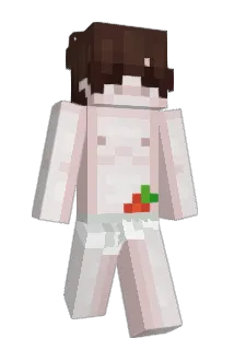zqsr Minecraft avatar full body