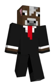 zrizzle Minecraft avatar full body