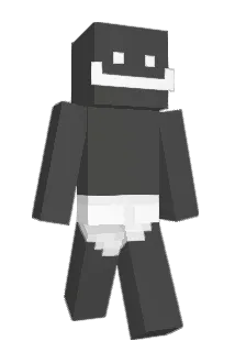 zsg Minecraft avatar full body