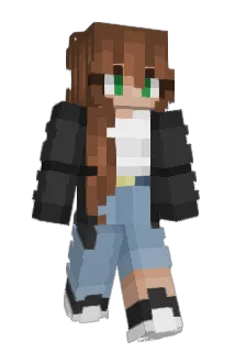 zsunn Minecraft avatar full body