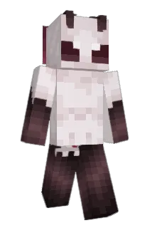 zt22 Minecraft avatar full body