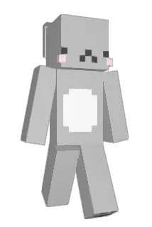 ztedy Minecraft avatar full body