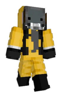 ztfg1 Minecraft avatar full body