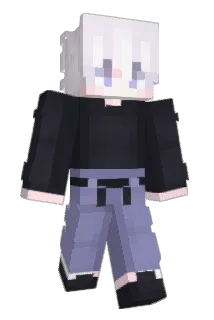 zubrzyk Minecraft avatar full body