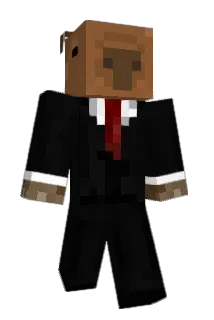 zul_a Minecraft avatar full body