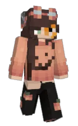 Custom render preview