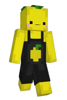 zuvieldryp Minecraft avatar full body