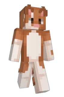 zvncc Minecraft avatar full body