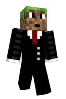 zwx8758 Minecraft avatar full body