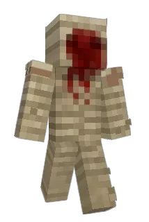 zwyrq Minecraft avatar full body