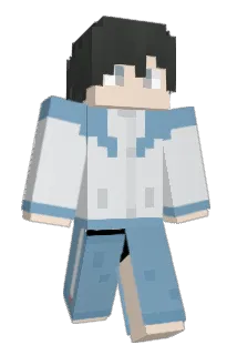 zy_fly Minecraft avatar full body