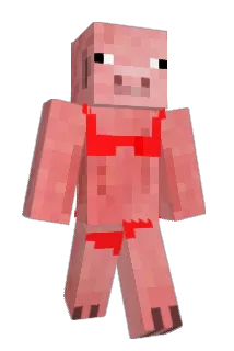 zyunee Minecraft avatar full body