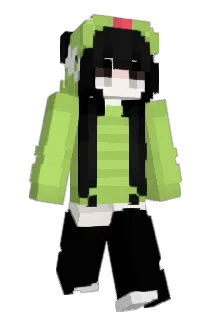 zz1m Minecraft avatar full body