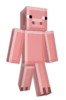 zzonduc Minecraft avatar full body