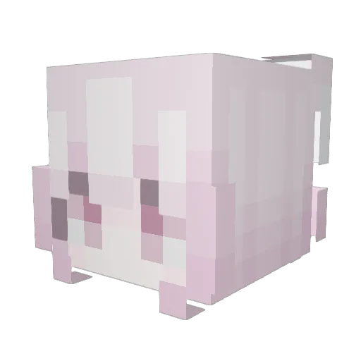 0000000000036EMP Minecraft avatar head, 3D render
