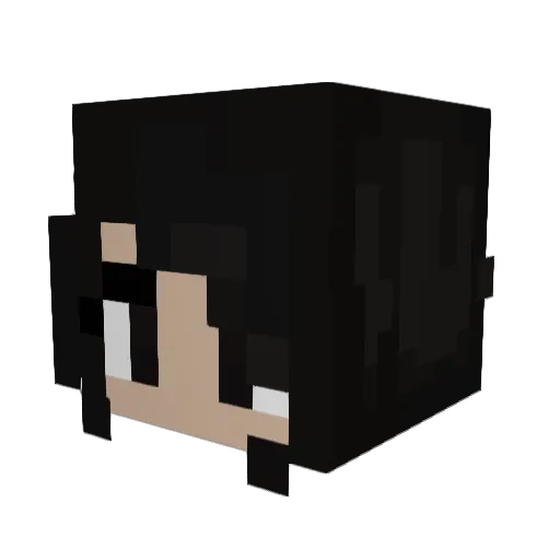 000000008000000 Minecraft avatar head, 3D render