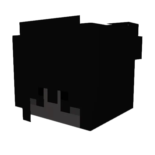 001JOEL Minecraft avatar head, 3D render