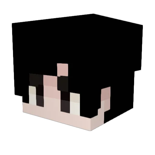 005aslan Minecraft avatar head, 3D render