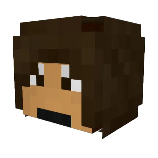 007Caleb Minecraft avatar head, 3D render