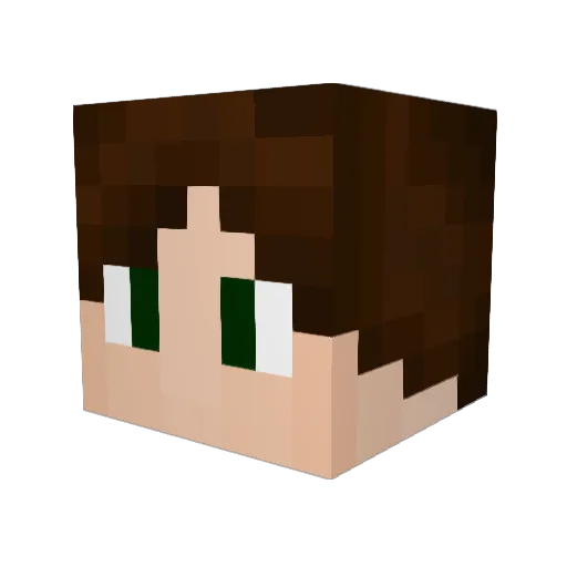 007DBR9 Minecraft avatar head, 3D render
