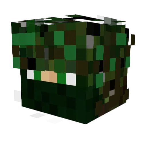 00Adonis00 Minecraft avatar head, 3D render