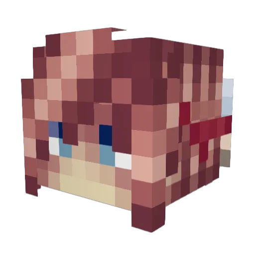 00CeNA00 Minecraft avatar head, 3D render