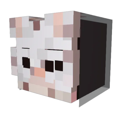 00Chan_ Minecraft avatar head, 3D render