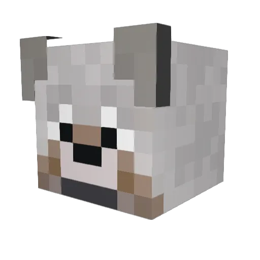 00Duder Minecraft avatar head, 3D render