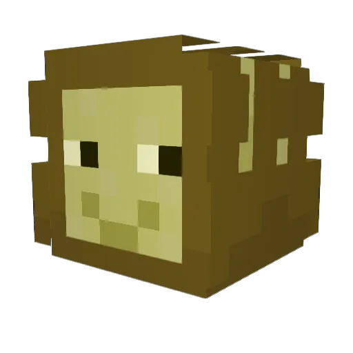 00KENYER00 Minecraft avatar head, 3D render