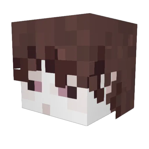 00Kris00 Minecraft avatar head, 3D render