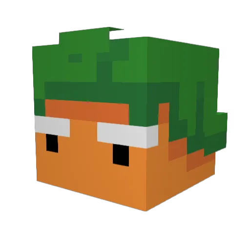 00MPA_L00MPA Minecraft avatar head, 3D render