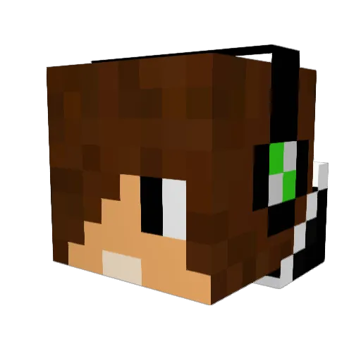 00Nobody Minecraft avatar head, 3D render
