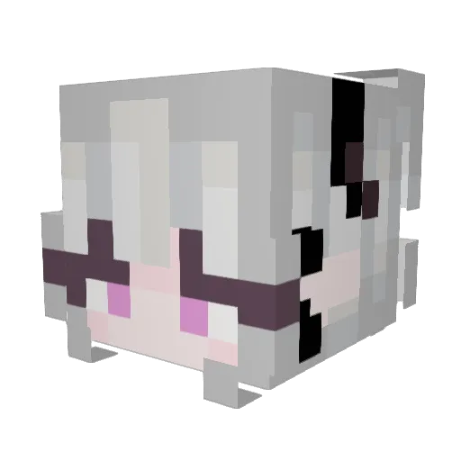 00Rina00 Minecraft avatar head, 3D render