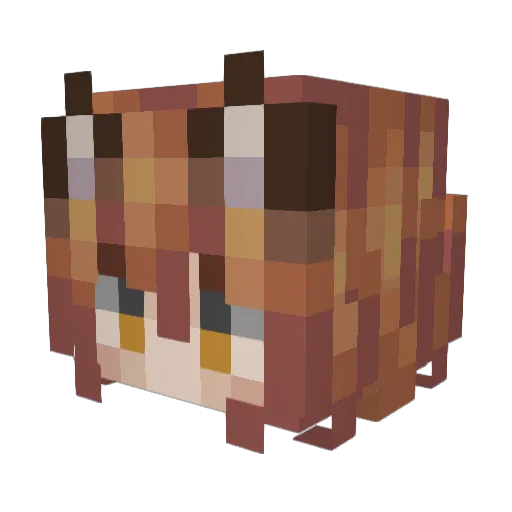 00Starstruck00 Minecraft avatar head, 3D render