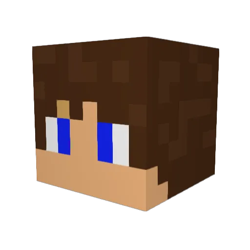00TheAnimal00 Minecraft avatar head, 3D render